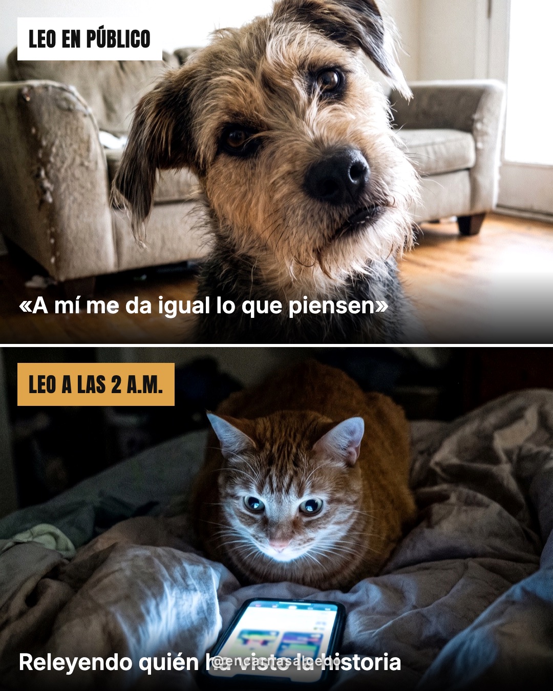 meme_doble