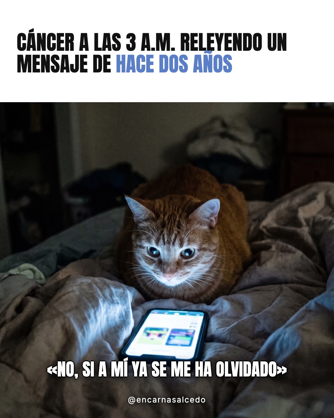 meme_caja_blanca