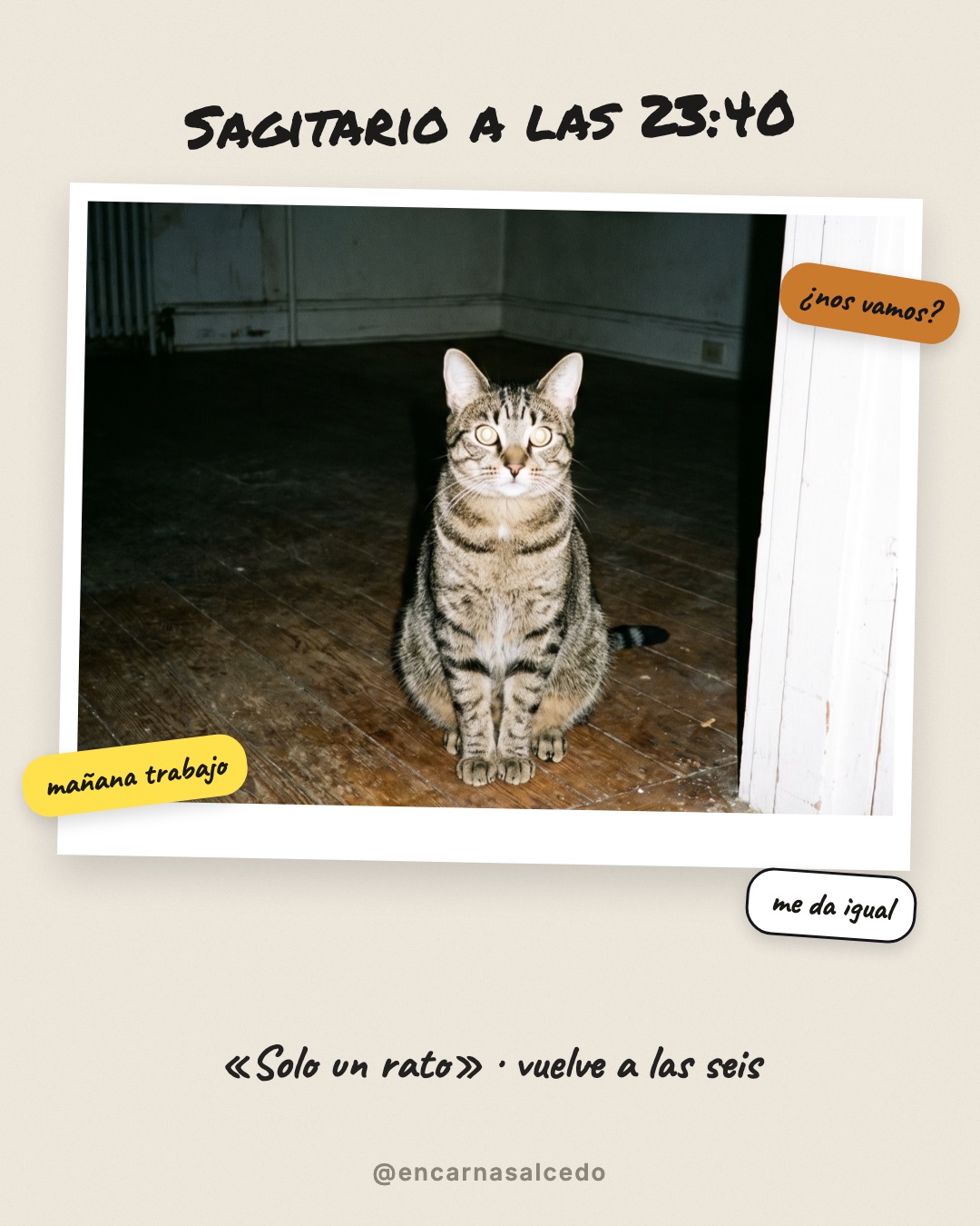 meme_stickers